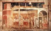 GIOTTO di Bondone Feast of Herod oil on canvas